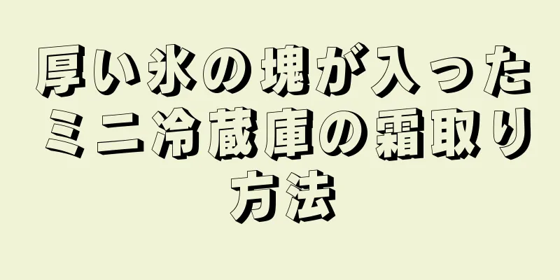 厚い氷の塊が入ったミニ冷蔵庫の霜取り方法