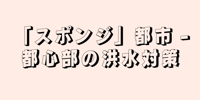 「スポンジ」都市 - 都心部の洪水対策