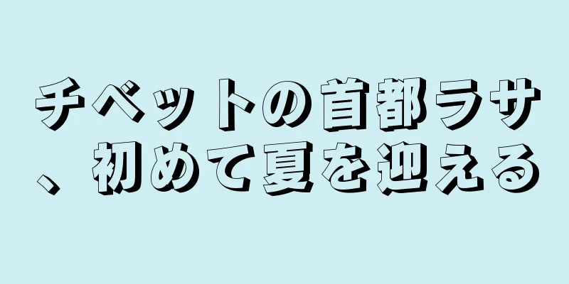 チベットの首都ラサ、初めて夏を迎える