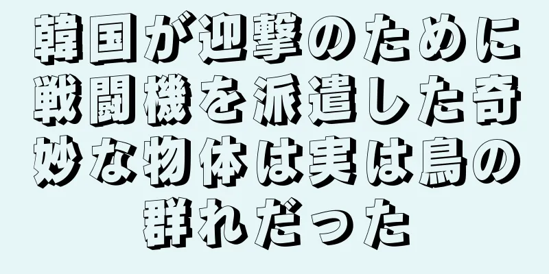 韓国が迎撃のために戦闘機を派遣した奇妙な物体は実は鳥の群れだった
