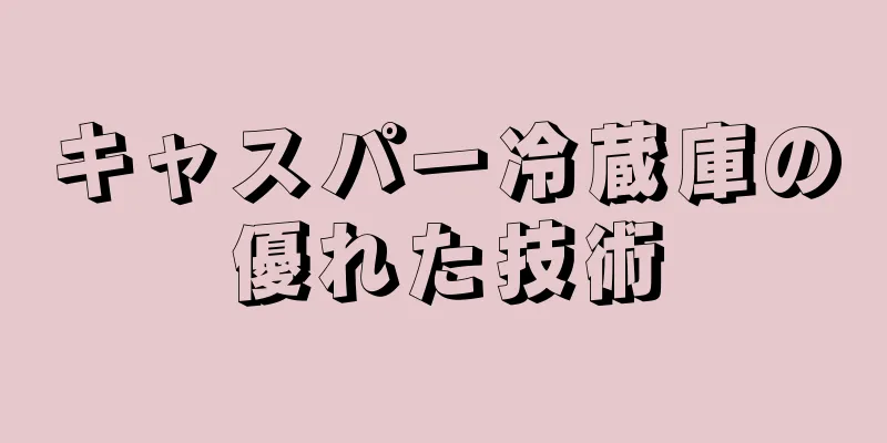 キャスパー冷蔵庫の優れた技術