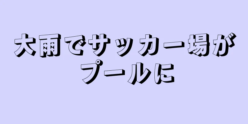 大雨でサッカー場がプールに