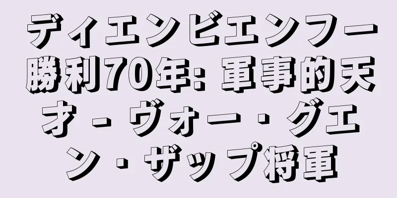 ディエンビエンフー勝利70年: 軍事的天才 - ヴォー・グエン・ザップ将軍