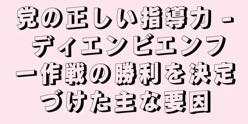 党の正しい指導力 - ディエンビエンフー作戦の勝利を決定づけた主な要因