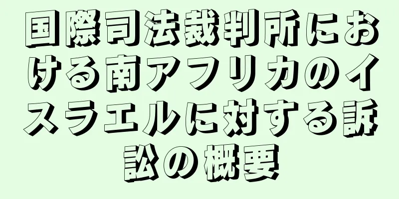 国際司法裁判所における南アフリカのイスラエルに対する訴訟の概要