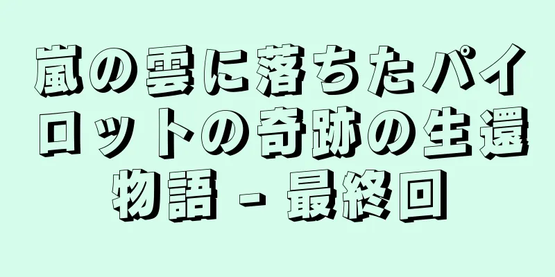 嵐の雲に落ちたパイロットの奇跡の生還物語 - 最終回