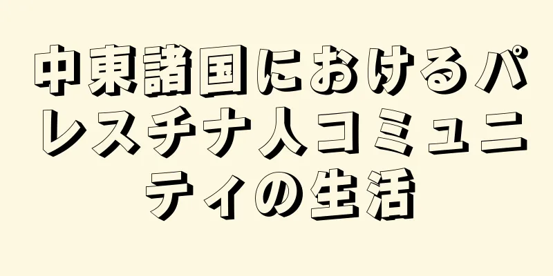 中東諸国におけるパレスチナ人コミュニティの生活