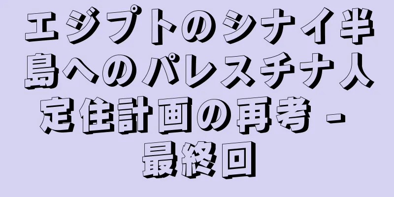 エジプトのシナイ半島へのパレスチナ人定住計画の再考 - 最終回