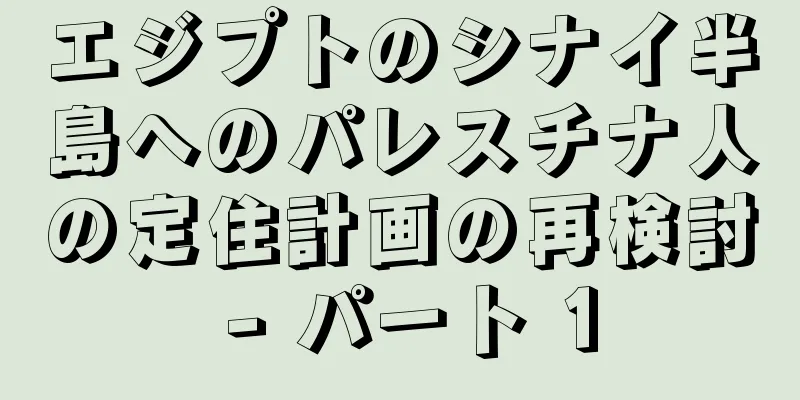 エジプトのシナイ半島へのパレスチナ人の定住計画の再検討 - パート 1