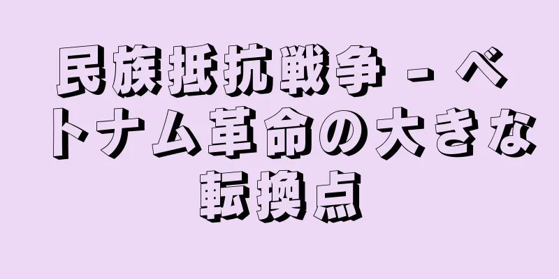 民族抵抗戦争 - ベトナム革命の大きな転換点