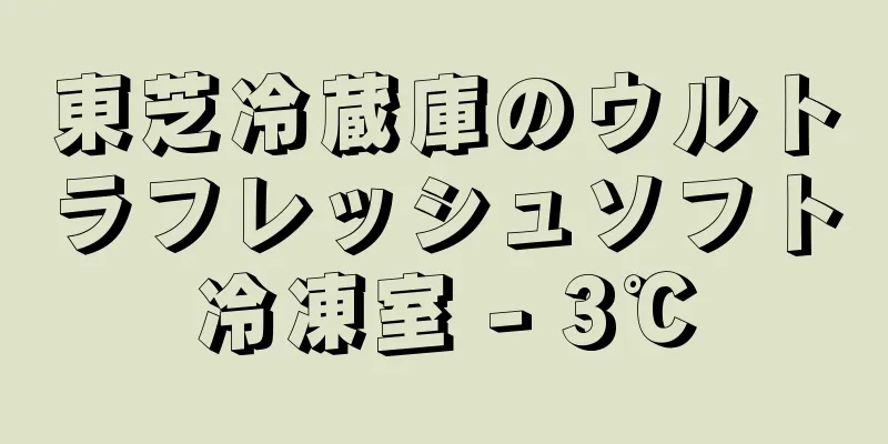 東芝冷蔵庫のウルトラフレッシュソフト冷凍室 - 3℃