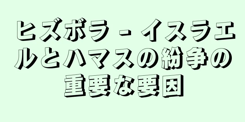 ヒズボラ - イスラエルとハマスの紛争の重要な要因