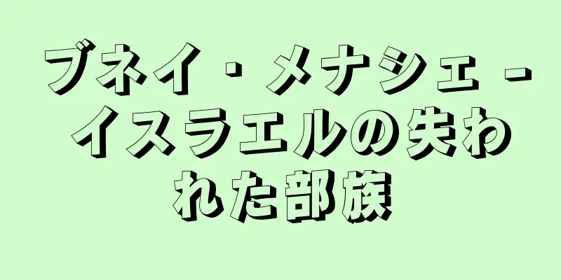 ブネイ・メナシェ - イスラエルの失われた部族