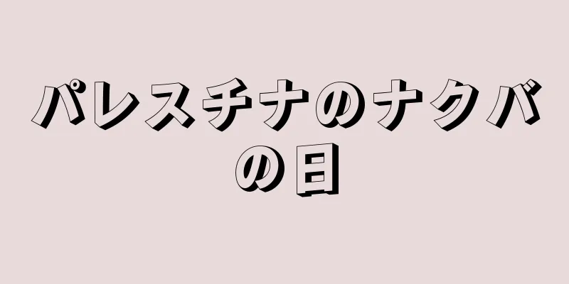パレスチナのナクバの日
