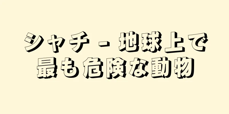 シャチ - 地球上で最も危険な動物