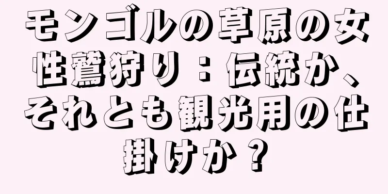 モンゴルの草原の女性鷲狩り：伝統か、それとも観光用の仕掛けか？