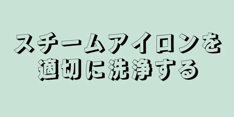 スチームアイロンを適切に洗浄する
