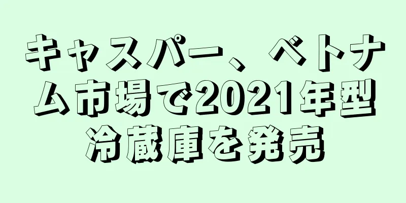 キャスパー、ベトナム市場で2021年型冷蔵庫を発売