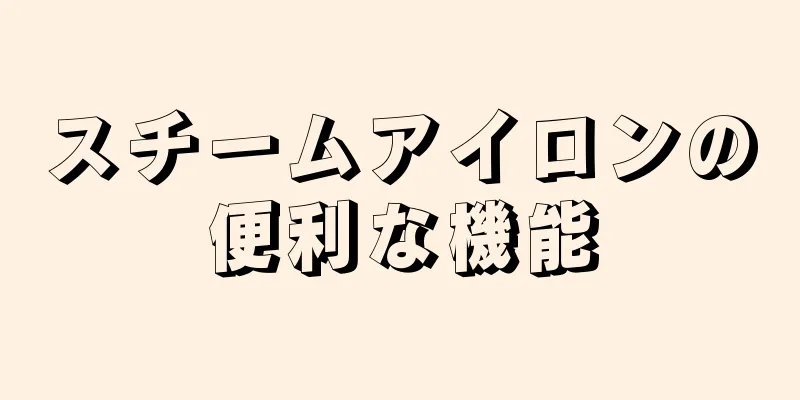 スチームアイロンの便利な機能