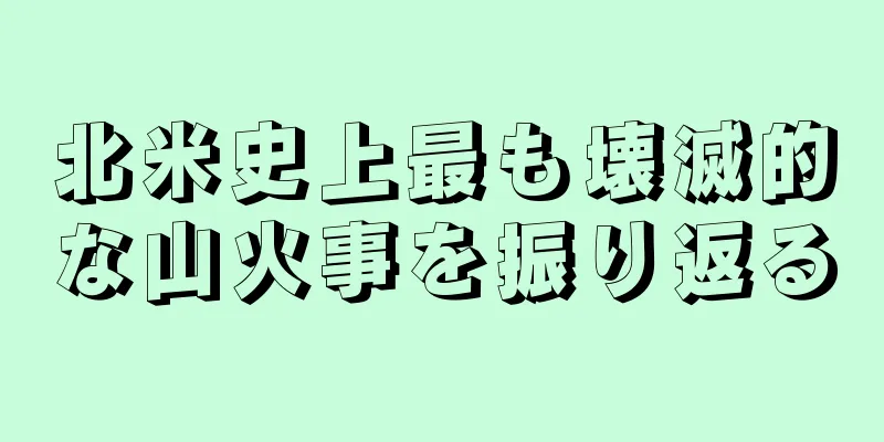 北米史上最も壊滅的な山火事を振り返る