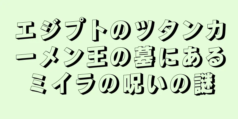 エジプトのツタンカーメン王の墓にあるミイラの呪いの謎