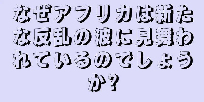 なぜアフリカは新たな反乱の波に見舞われているのでしょうか?