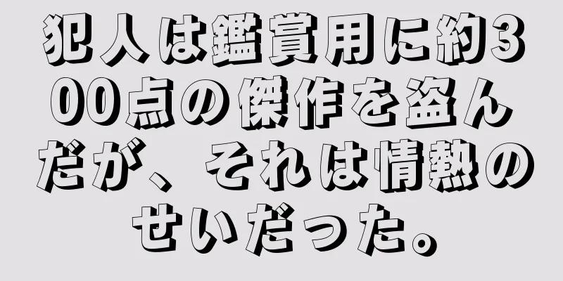 犯人は鑑賞用に約300点の傑作を盗んだが、それは情熱のせいだった。