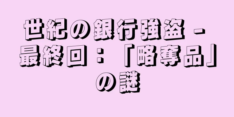 世紀の銀行強盗 - 最終回：「略奪品」の謎