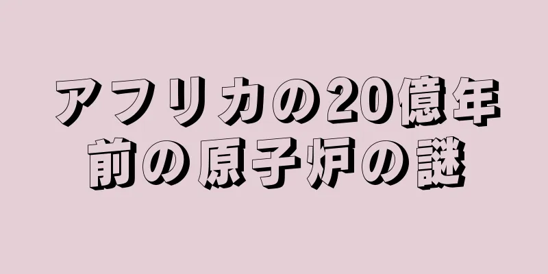 アフリカの20億年前の原子炉の謎