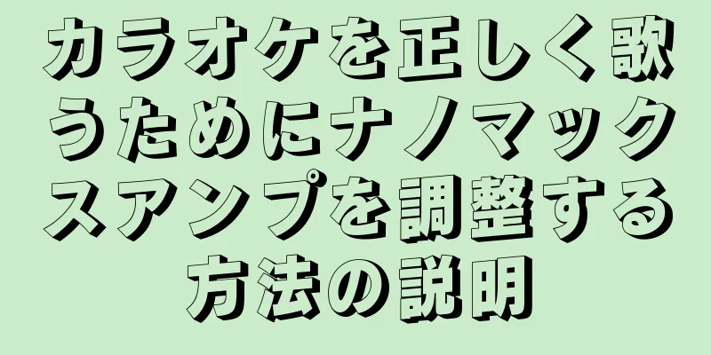 カラオケを正しく歌うためにナノマックスアンプを調整する方法の説明