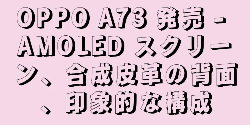 OPPO A73 発売 - AMOLED スクリーン、合成皮革の背面、印象的な構成