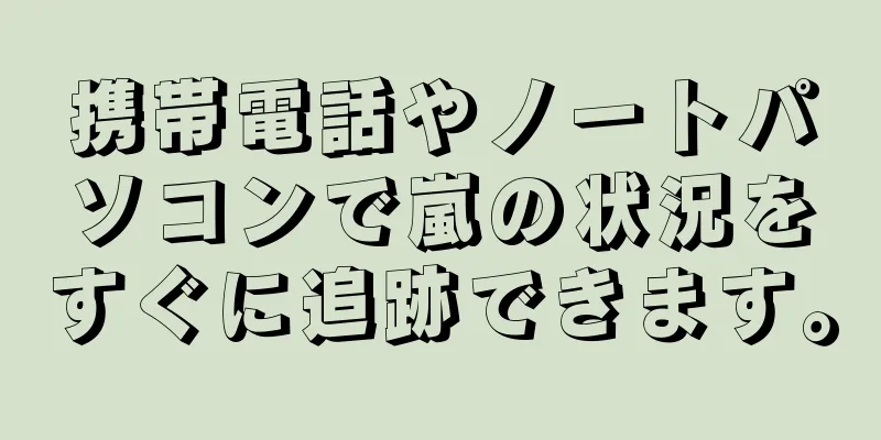 携帯電話やノートパソコンで嵐の状況をすぐに追跡できます。