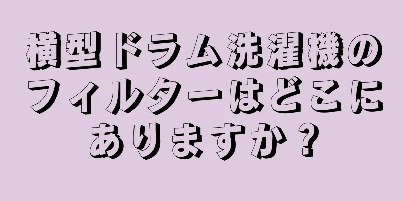 横型ドラム洗濯機のフィルターはどこにありますか？