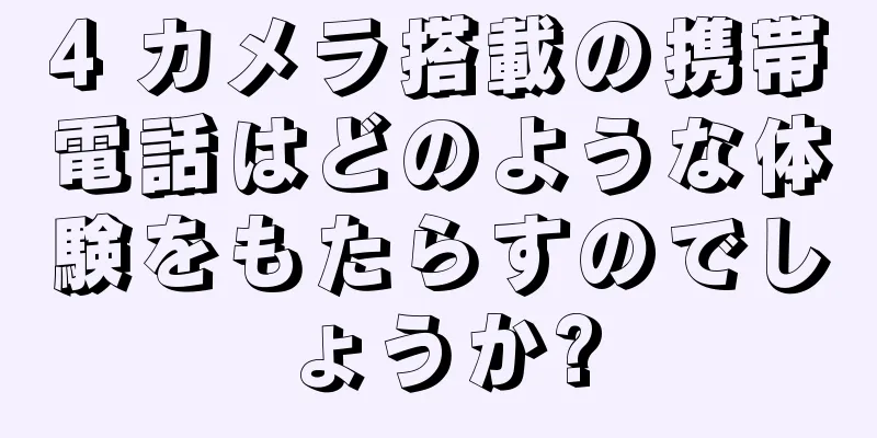 4 カメラ搭載の携帯電話はどのような体験をもたらすのでしょうか?