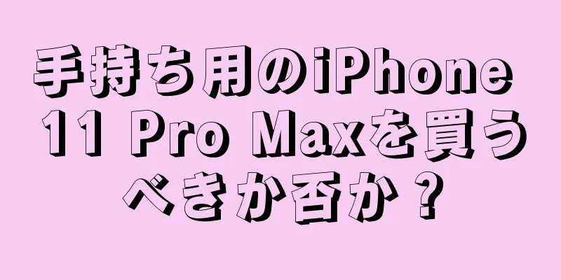 手持ち用のiPhone 11 Pro Maxを買うべきか否か？