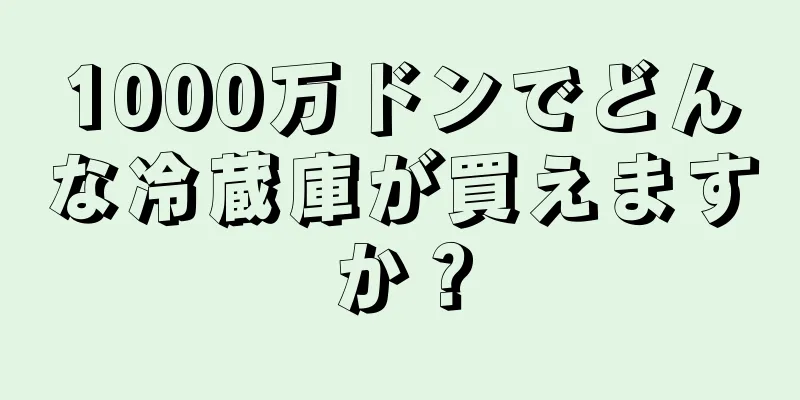 1000万ドンでどんな冷蔵庫が買えますか？