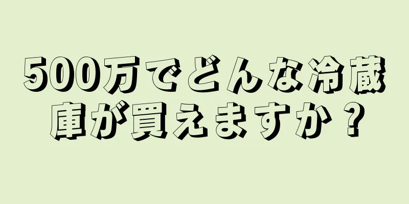 500万でどんな冷蔵庫が買えますか？