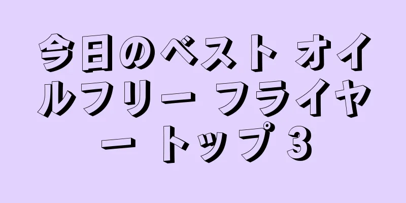 今日のベスト オイルフリー フライヤー トップ 3