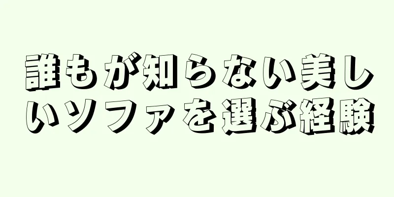 誰もが知らない美しいソファを選ぶ経験