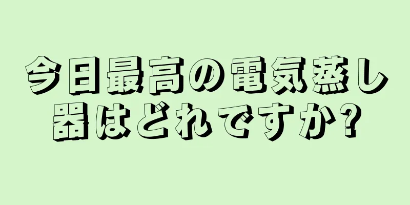 今日最高の電気蒸し器はどれですか?