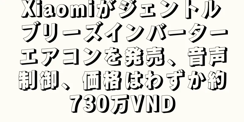 Xiaomiがジェントルブリーズインバーターエアコンを発売、音声制御、価格はわずか約730万VND