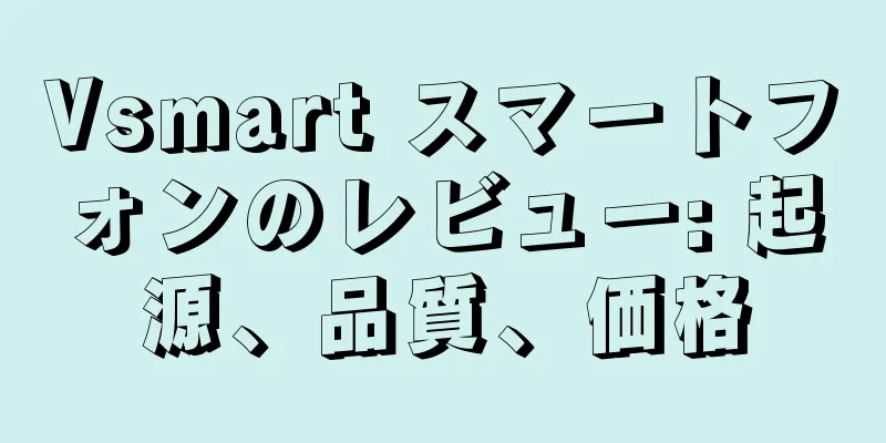 Vsmart スマートフォンのレビュー: 起源、品質、価格