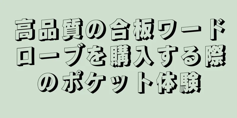 高品質の合板ワードローブを購入する際のポケット体験