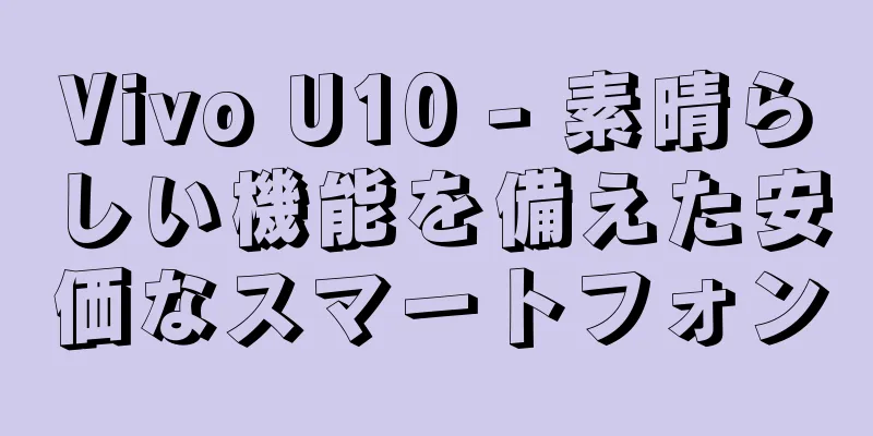 Vivo U10 - 素晴らしい機能を備えた安価なスマートフォン