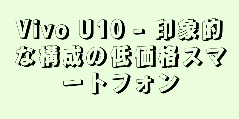 Vivo U10 - 印象的な構成の低価格スマートフォン