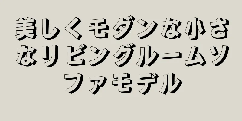 美しくモダンな小さなリビングルームソファモデル
