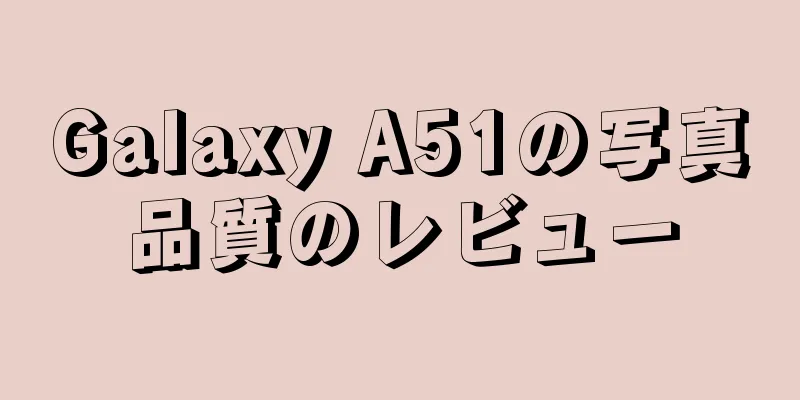 Galaxy A51の写真品質のレビュー