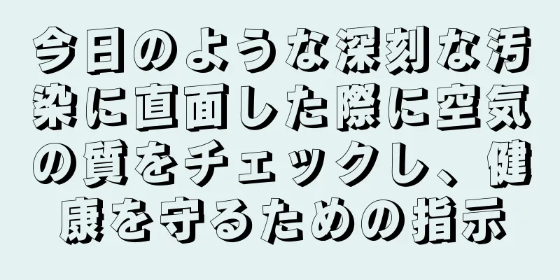 今日のような深刻な汚染に直面した際に空気の質をチェックし、健康を守るための指示