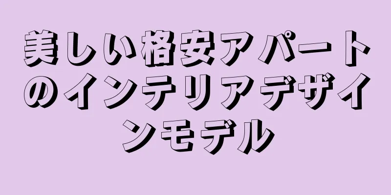 美しい格安アパートのインテリアデザインモデル
