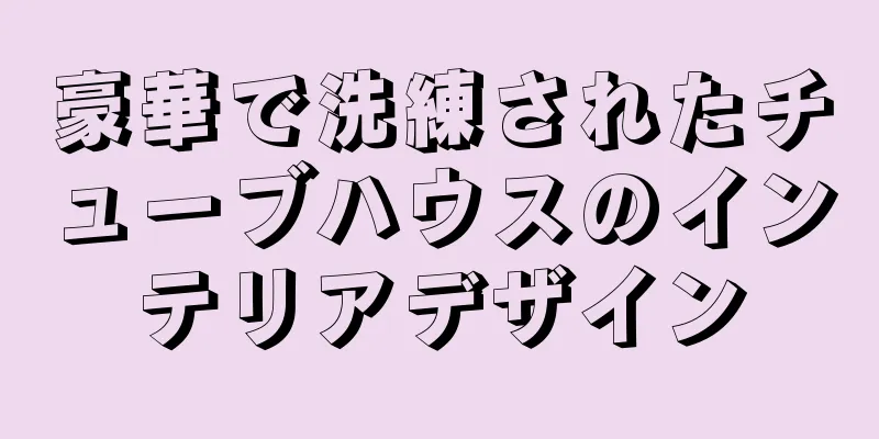 豪華で洗練されたチューブハウスのインテリアデザイン